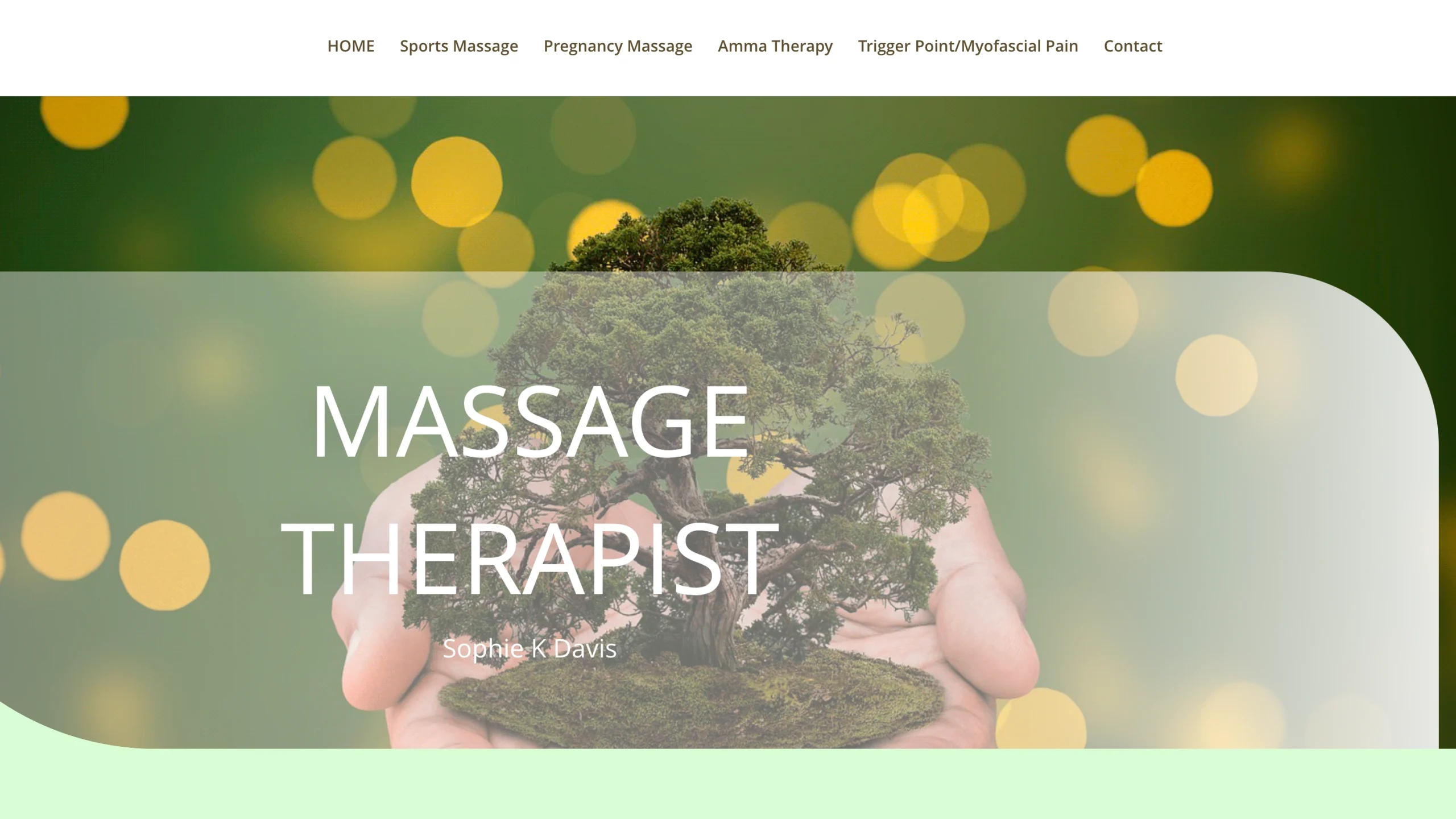 Counsellors and Wellness Practitioners Website Design massage therapist