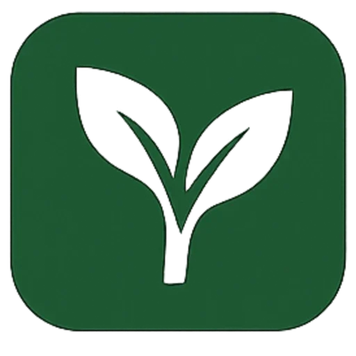 AI Automation Services cropped RTWD Logo 2025 512sq.webp