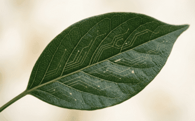 Website Design for Therapists: What You Actually Need (and What You Don’t)