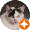 RTWD Mudger D profile picture