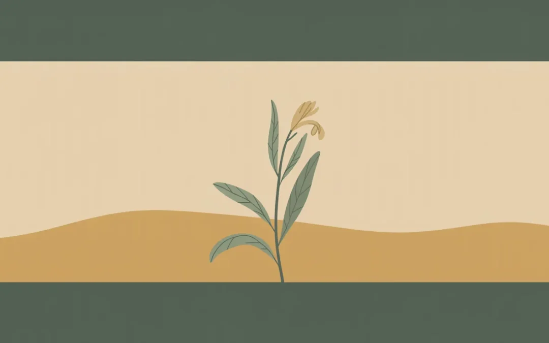 Why Does My Therapy Practice Go Quiet in Summer, and What Can I Do About It?