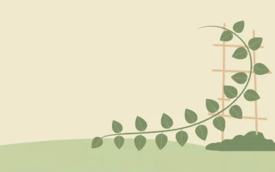 Support Guides SEO Guide for Therapists: Where Do You Actually Start?