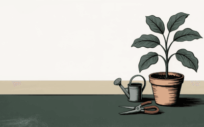 What Is a Website Maintenance Plan (and Do You Actually Need One)?