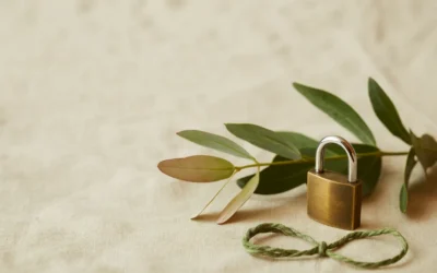 What Happens When SSL Certificate Expires, and How Do You Fix It?